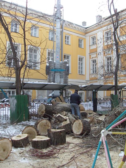 Удаление аварийных и сухостойных деревьев